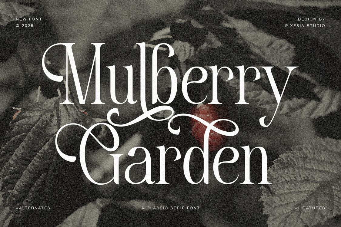 Powerful Quotes about Strength to Overcome Any Challenge